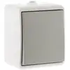 Image de Zenitech Va-et-vient IP54 - Gris