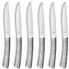 Image de Coffret de 6 couteaux à steak - 246523MB02SK9 - Steak Bongo Xl - AMEFA