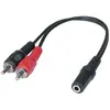Image de Adaptateur Jack 3.5 mm vers 2 x RCAM - 0,20 m