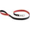 Image de Laisse pour chien Martin Sellier M Rouge 25 mm 3006801