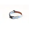 Image de Collier pour chien Martin Sellier S Bleu 15 mm 3007123