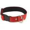 Image de Collier pour chien Martin Sellier L Rouge 40 mm 3007130