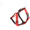 Image de Harnais pour chien Martin Sellier S Rouge 15 mm 3007146