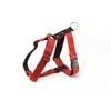 Image de Harnais pour chien Martin Sellier L Rouge 40 mm 3007152