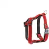Image de Harnais pour chien Martin Sellier S Rouge 15 mm 3009154