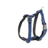 Image de Harnais pour chien Martin Sellier S Bleu 15 mm 3009155