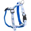 Image de Harnais pour chien Martin Sellier S Bleu 15 mm 3009153