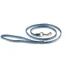 Image de Laisse pour chien nylon Martin Sellier Bleu TU 3009526