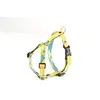 Image de Harnais pour chien Martin Sellier S Bleu 15 mm 3007154