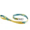 Image de Laisse pour chien Martin Sellier M Bleu 25 mm 3006812