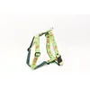 Image de Harnais pour chien Martin Sellier M Vert 25 mm 3007161