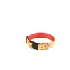 Image de Collier pour chien Martin Sellier L Jaune 40 mm 3007142