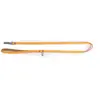 Image de Laisse pour chien pois Martin Sellier XS Orange 10/100 cm 3008739