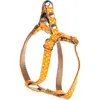 Image de Harnais pour chien pois Martin Sellier XS Orange 10x30/40 cm 3009149