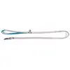 Image de Laisse pour chien Etoiles Martin Sellier Gris XS 3008674