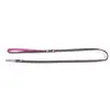 Image de Laisse pour chien Etoiles Martin Sellier Noir XS 3008692