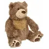 Image de Peluche ours enfant thème forêt