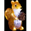 Image de Forme Acrylique Extérieur Écureuil Marron