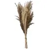 Image de Bouquet de Fleurs Séchées Pampa 58cm Naturel