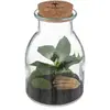 Image de Botanique Terrarium - H.19,5 cm - Vert