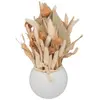 Image de Compo céramique 25 cm ATMOSPHERA - Blanc