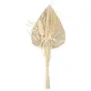 Image de Mini Bouquet de Fleurs Naturelles Seav 30cm Beige