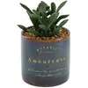 Image de But Plante botanique Bota 10cm noir