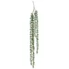 Image de Plante Tombante Déco Séneçon 37cm Vert
