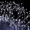 Image de Guirlande Lumineuse Extérieur Boa 2,5m Blanc Froid