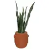 Image de But Pot de fleurs cylindrique - Marron