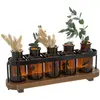 Image de Lot de 5 Soliflores en Verre 5 Fleurs 27cm Transparent