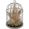 Image de Fleurs Séchées Déco Cage 20cm Gris