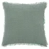 Image de Coussin Nid d'Abeille Widdy 45x45cm Vert Céladon