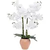 Image de Orchidée Artificielle en Pot Dena 65cm Blanc