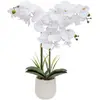 Image de Orchidée Artificielle en Pot Riva 60cm Blanc