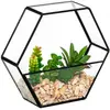 Image de Terrarium Hexagonal en Verre Pia 20cm Noir