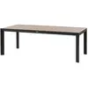 Image de Table de jardin fixe en aluminium effet bois 8 places EVASION - Honey et graphite