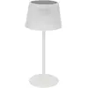 Image de Lampe Solaire à LED Katy 30cm Blanc