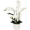 Image de Orchidée H. 80 cm MICK Blanc