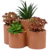 Image de Plantes Grasses Artificielles en Pot Wonj 22cm Terracotta
