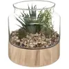 Image de Terrarium en Verre & Bois Brito 17cm Transparent