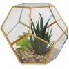 Image de Plante Artificielle & Terrarium Déco Julie 17cm Or