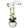 Image de Composition Florale & Vase Orchidée 53cm Argent