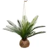 Image de Olla de coco de palma Cuba H 50