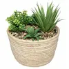 Image de Plante artificielle d'intérieur - Beige