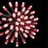 Image de Guirlande de Noël Extérieur 200 LED Rouge / Vert
