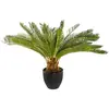 Image de Atmosphera Plante Ananas - 72 cm