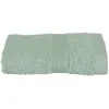 Image de Serviette d'Invité Confort 30x50cm Vert Céladon