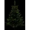 Image de FEERIC CHRISTMAS Guirlande Extérieure L.170 blanc chaud