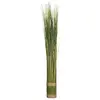 Image de Fagot d'herbes H.79 cm - but
